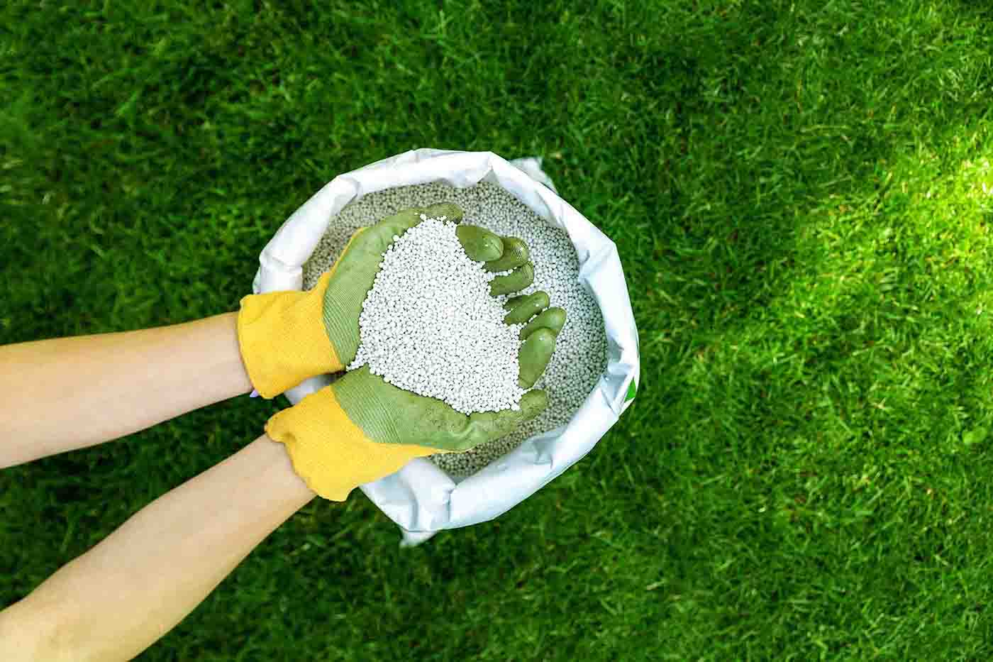 Best Lawn Fertilizing Company in MN – Trusted for 21+ Years